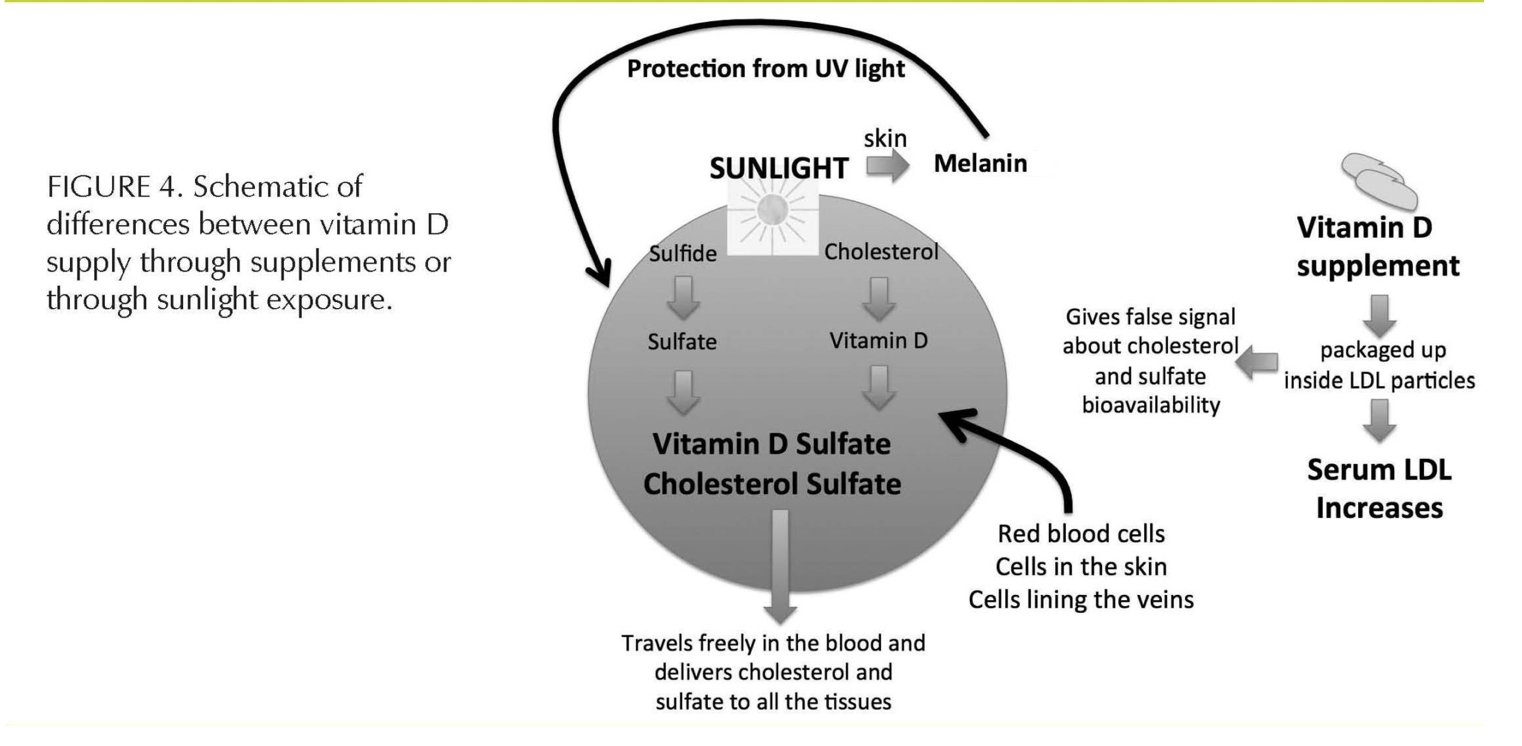 Vitamin D fra sollys